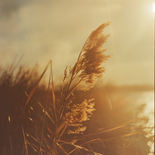 Artwork_01